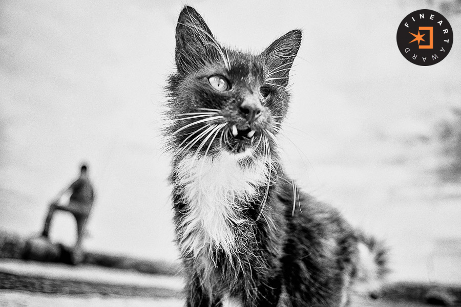 Foto capturada por @agrand