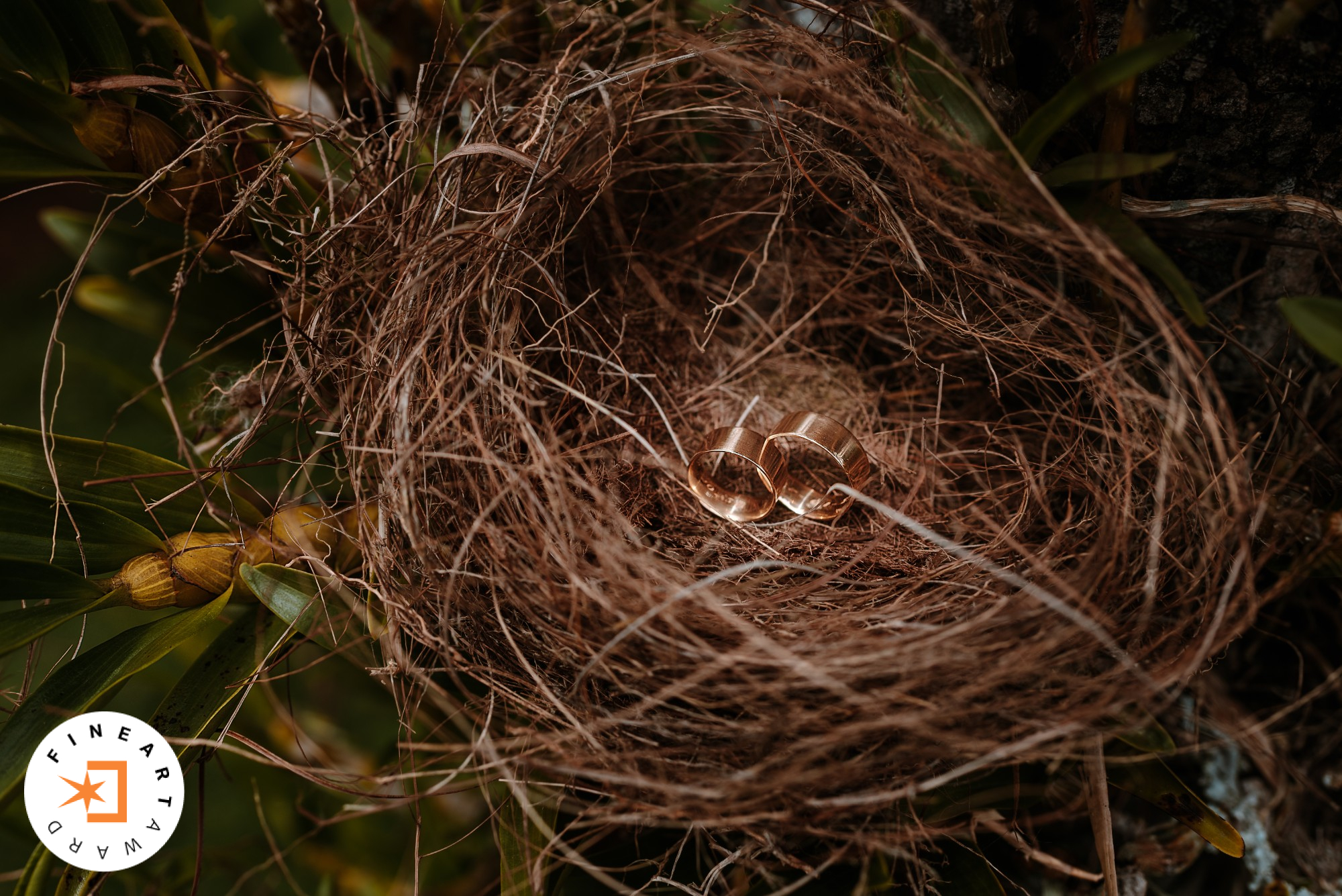 Foto capturada por @junioroliveira