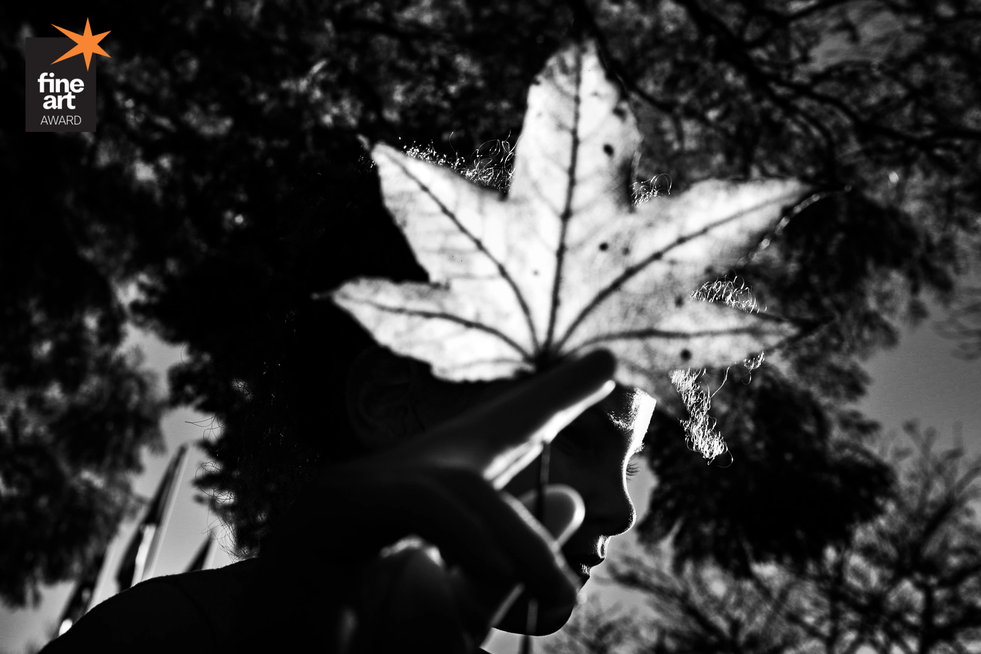 Foto por michelneumann