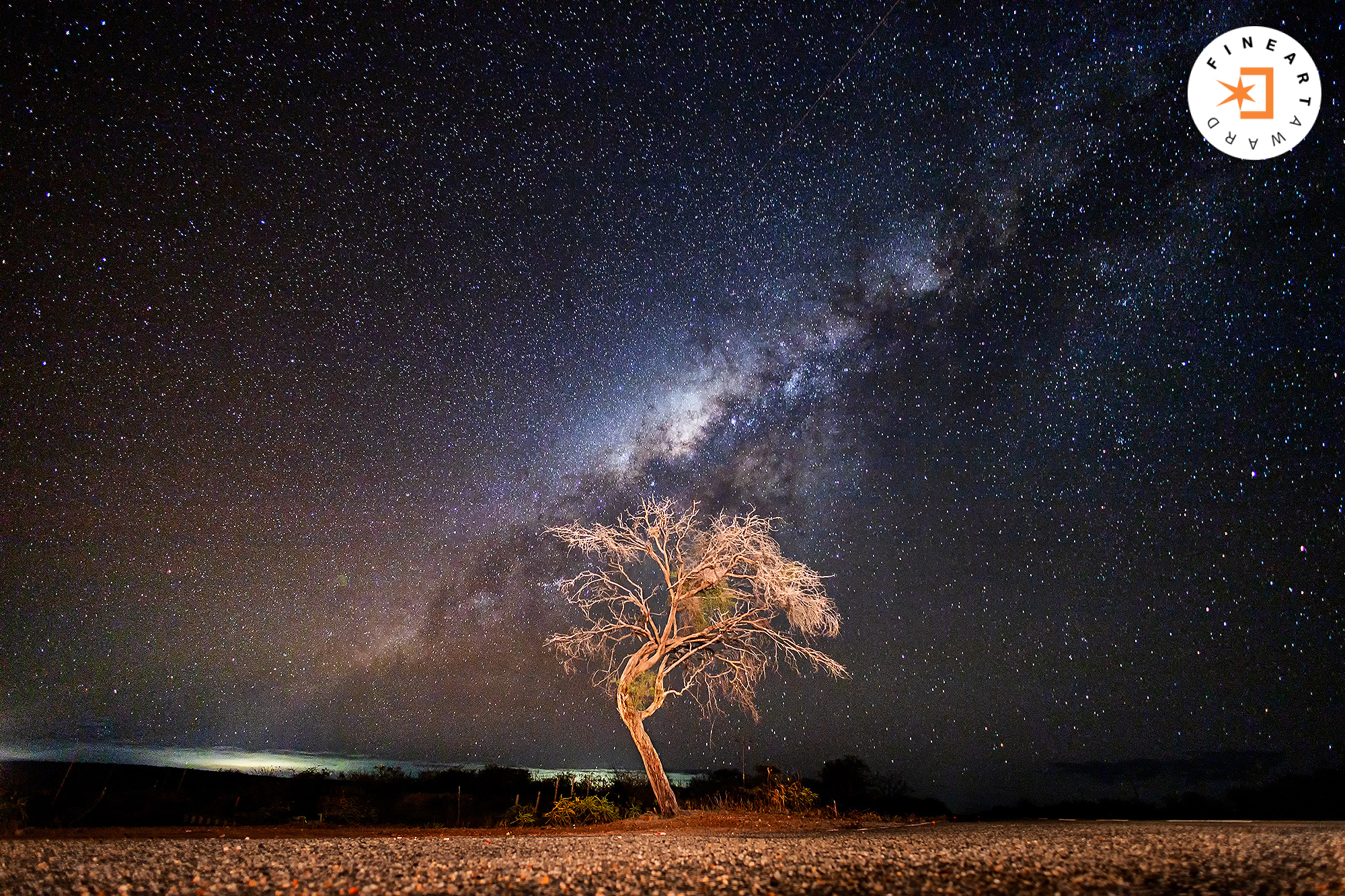 Foto por {{ $image->photographer_username }}