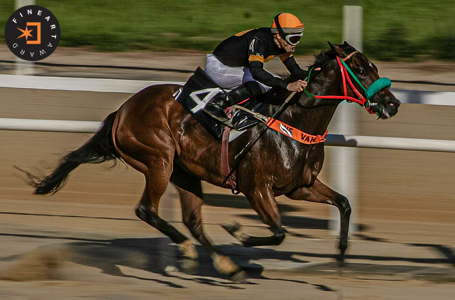 Foto por {{ $image->photographer_username }}