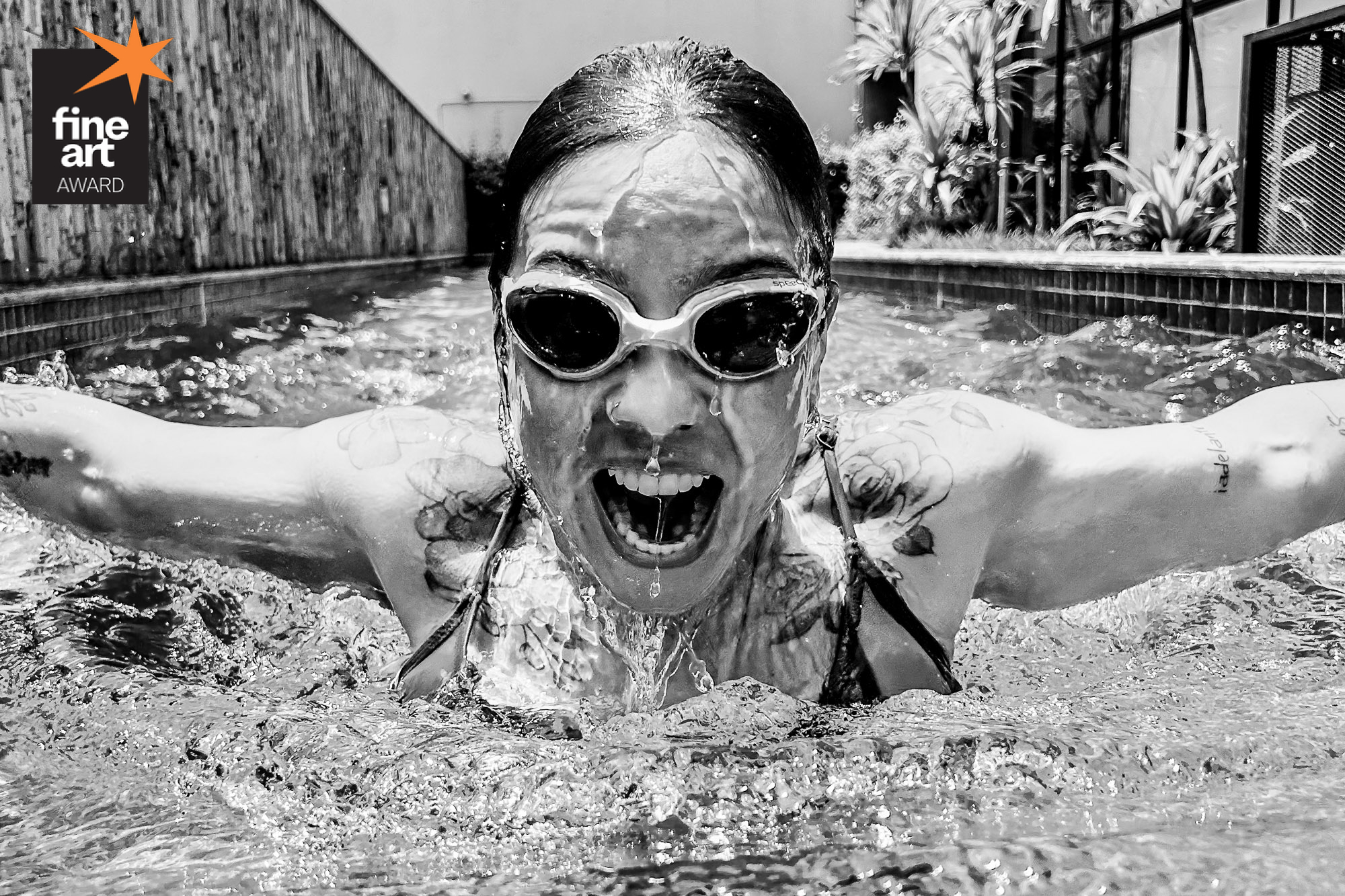 Foto por {{ $image->photographer_username }}