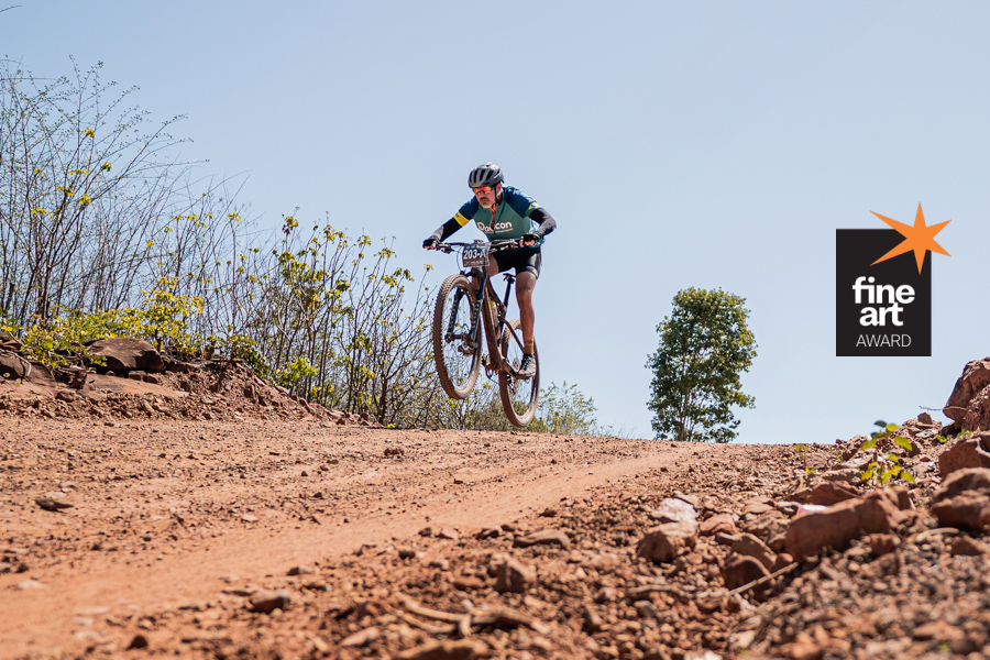 Foto por {{ $image->photographer_username }}