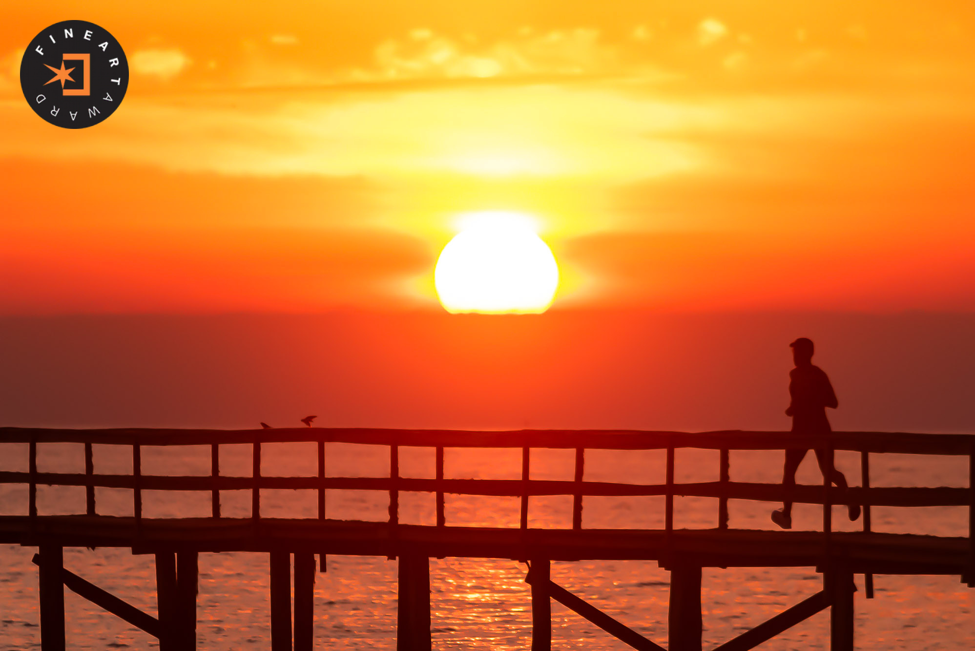 Foto por {{ $image->photographer_username }}