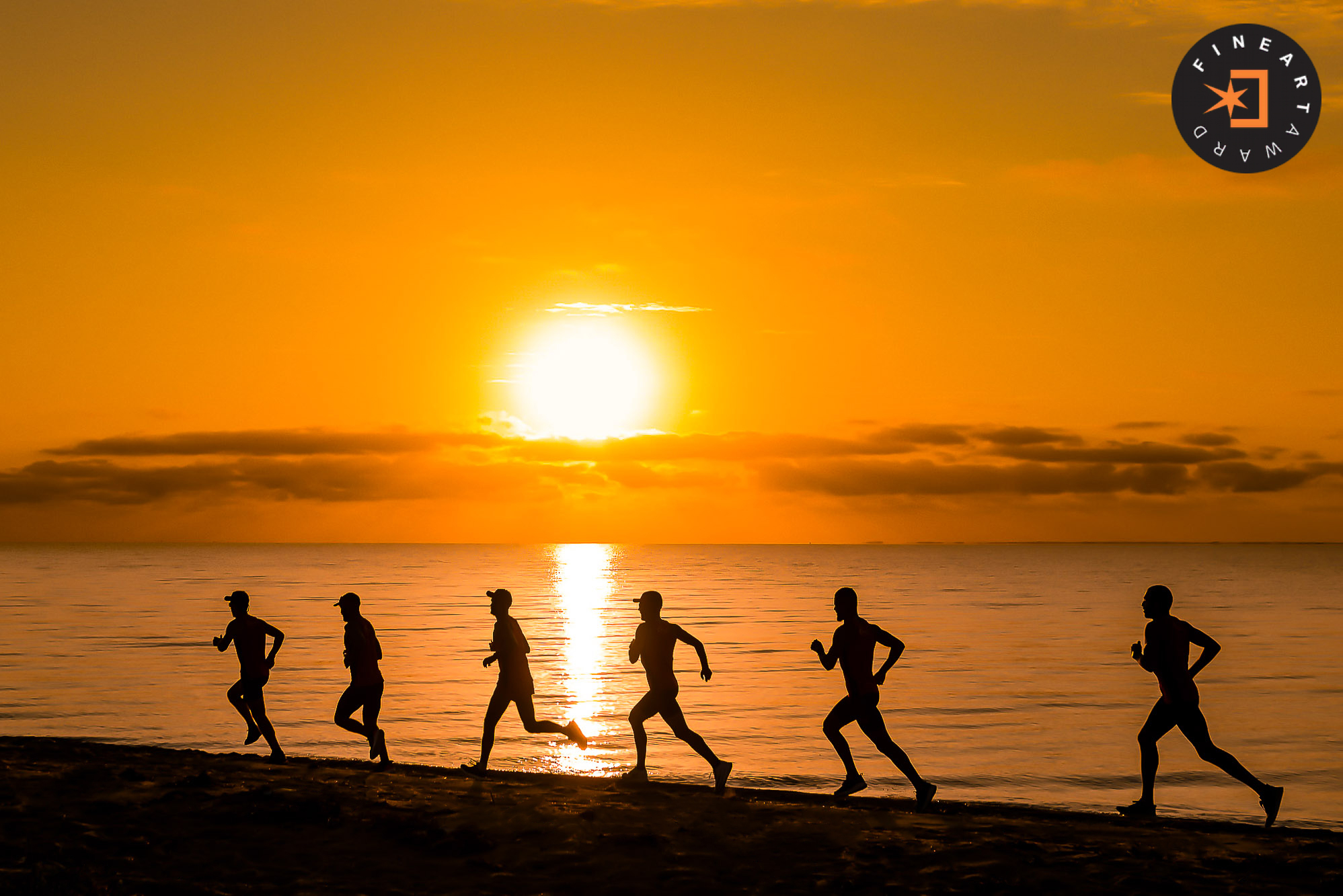 Foto por {{ $image->photographer_username }}