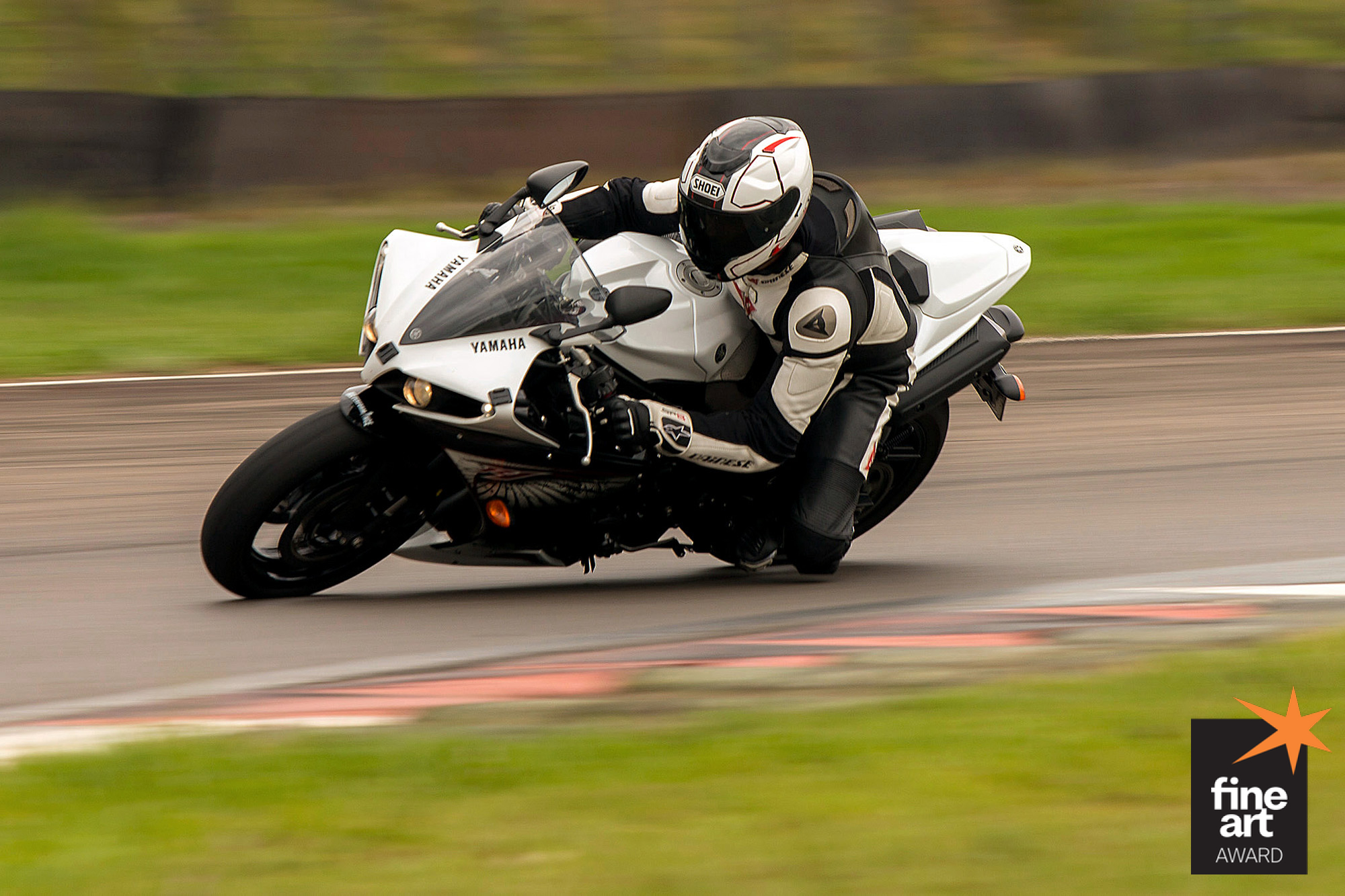 Foto por {{ $image->photographer_username }}