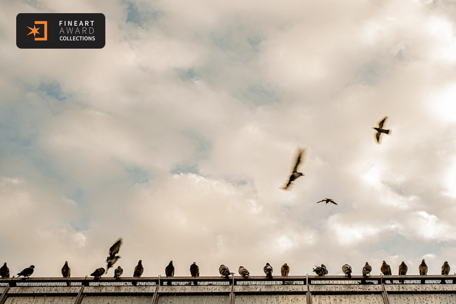 Beauty and chaos. — galeria premiada de Alexandre Grand