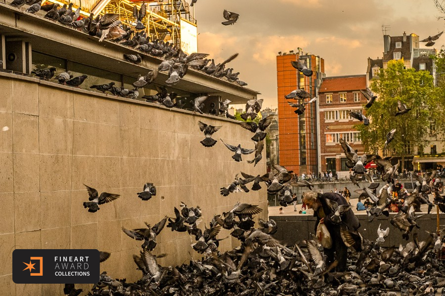 Beauty and chaos. — galeria premiada de Alexandre Grand