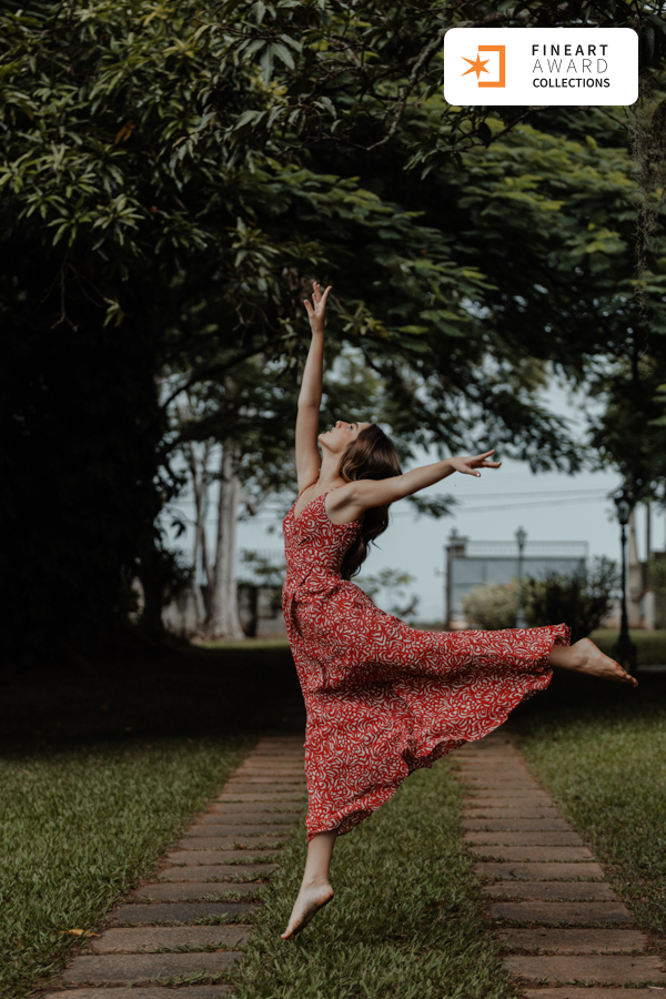  — galeria premiada de Raphael Ranosi