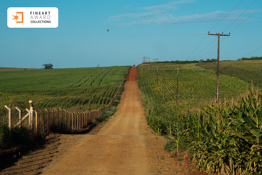 Colhendo milhos, plantando memórias — galeria premiada de Zé Américo
