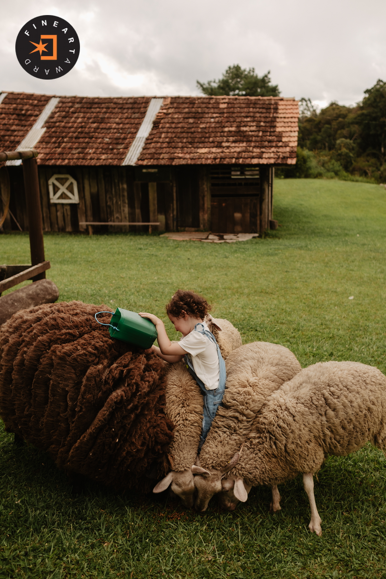 Foto por @thiagobraga