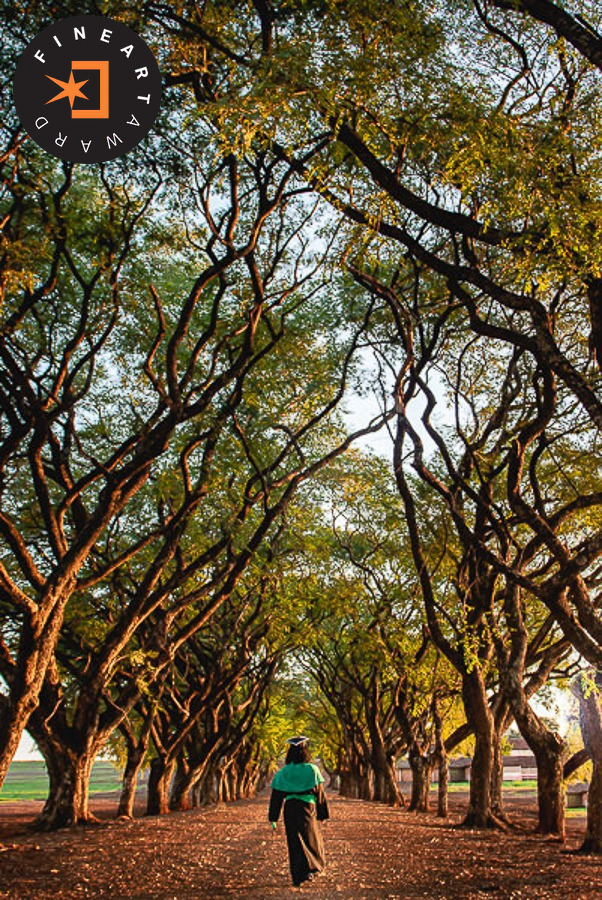 Foto por {{ $image->photographer_username }}