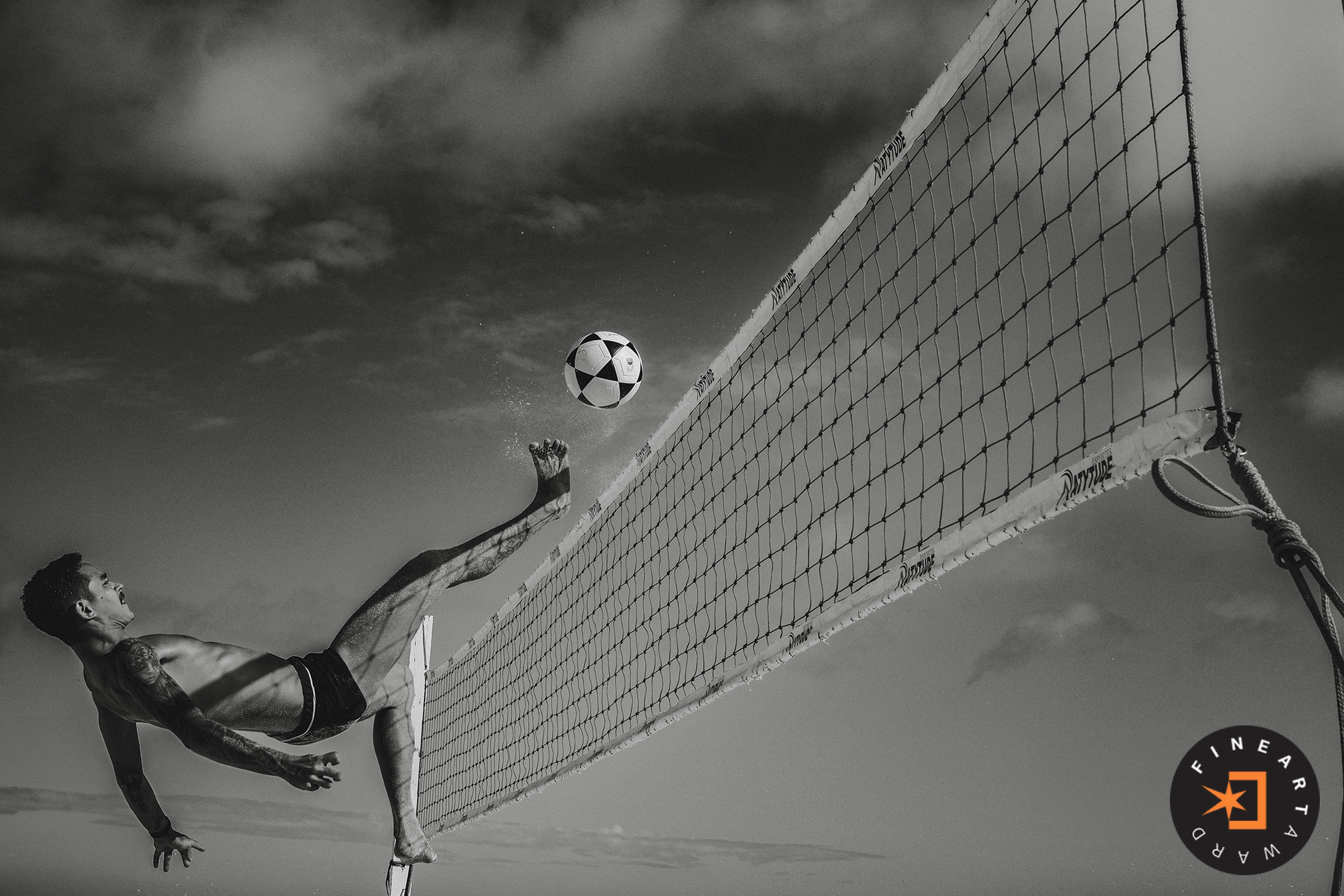 Foto por {{ $image->photographer_username }}