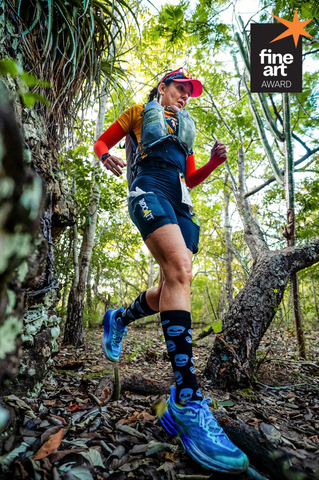 Foto por {{ $image->photographer_username }}