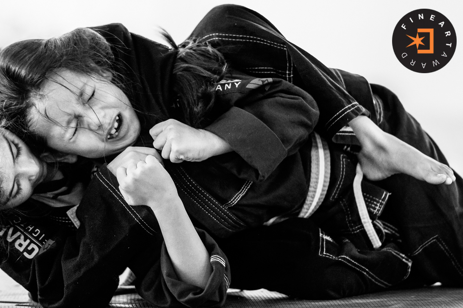 Foto por {{ $image->photographer_username }}