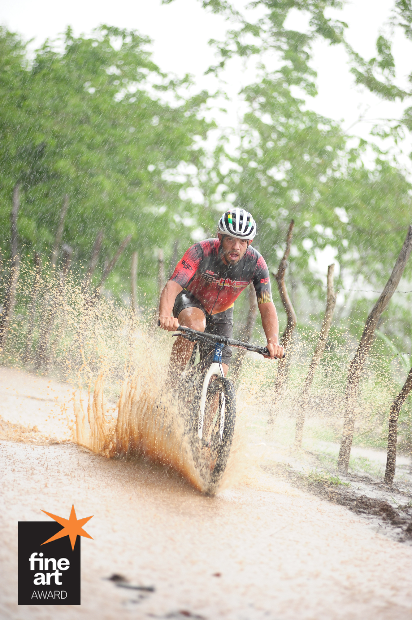 Foto por {{ $image->photographer_username }}