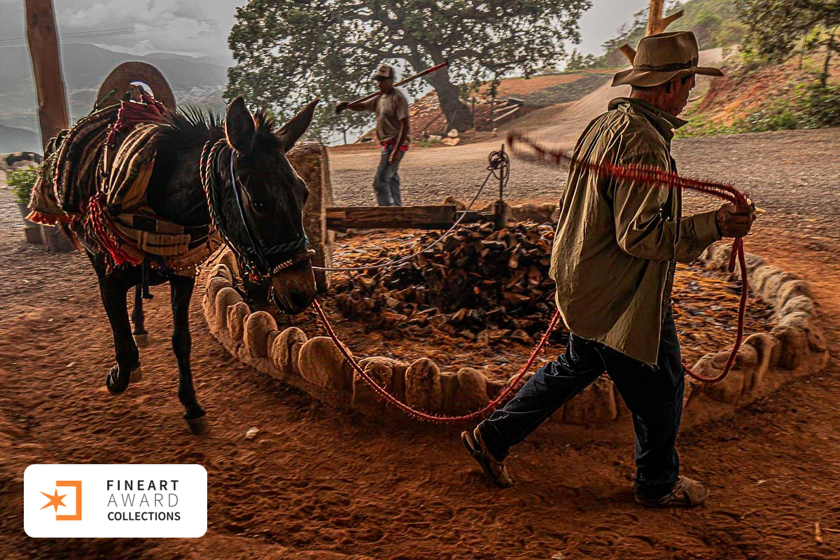 Oaxaca, Mexico — galeria premiada de Alexandre Grand