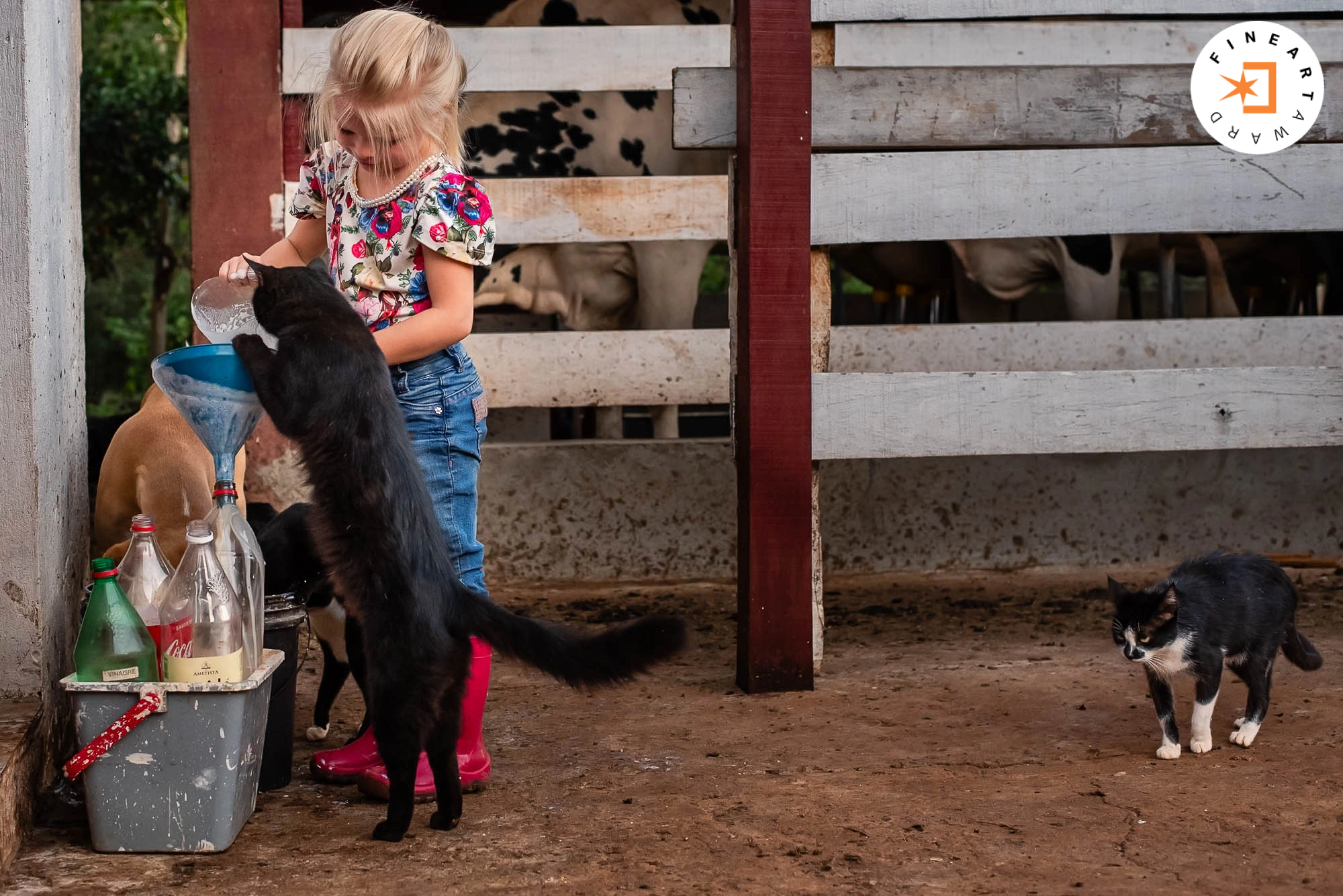 Foto por laurasbatista