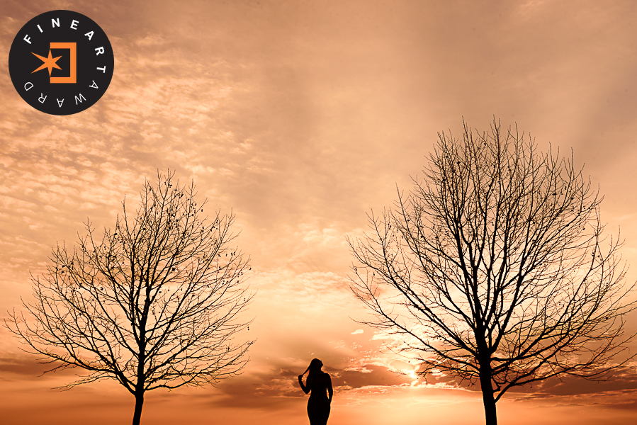 Foto por {{ $image->photographer_username }}