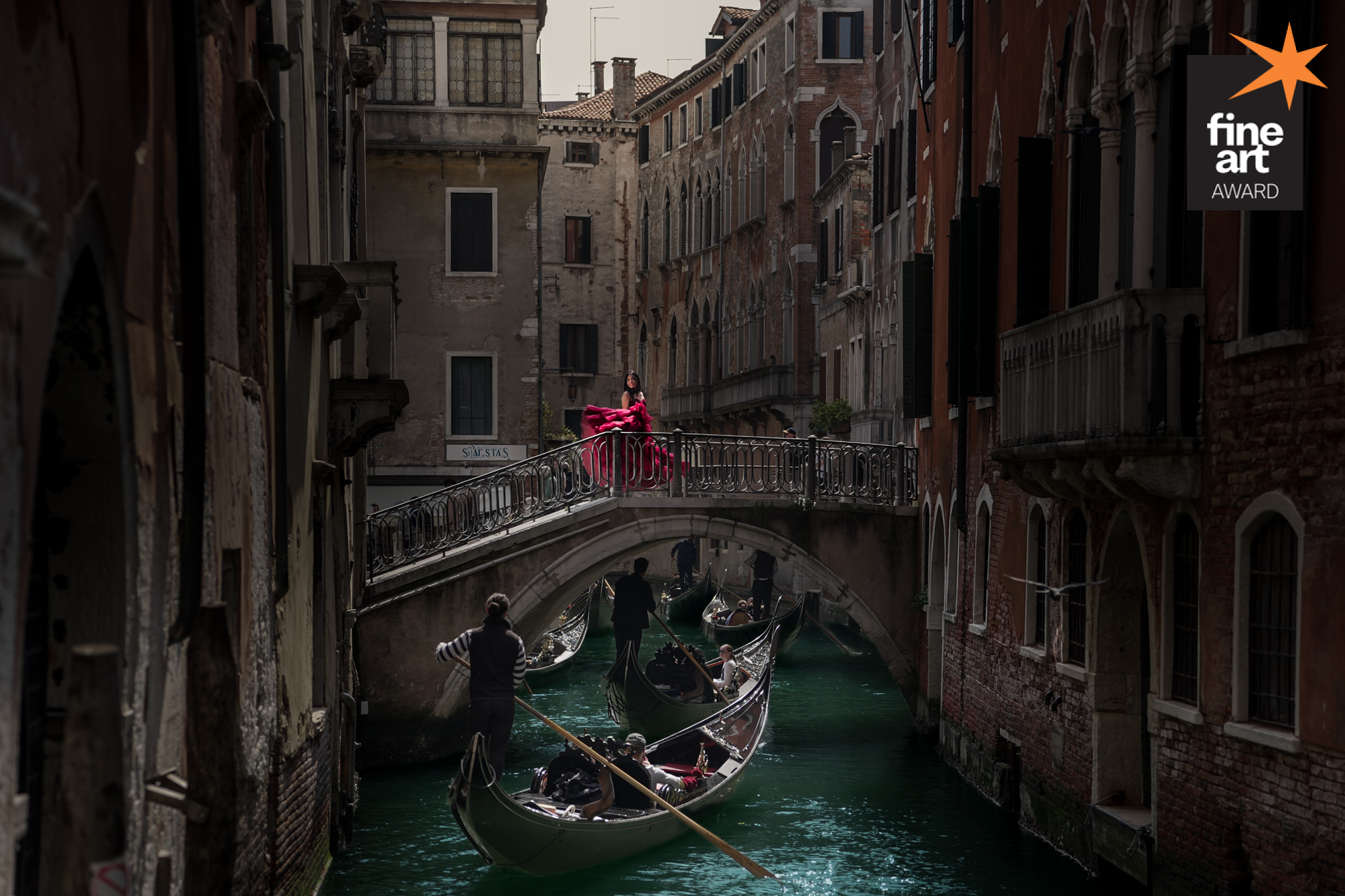 Foto por {{ $image->photographer_username }}