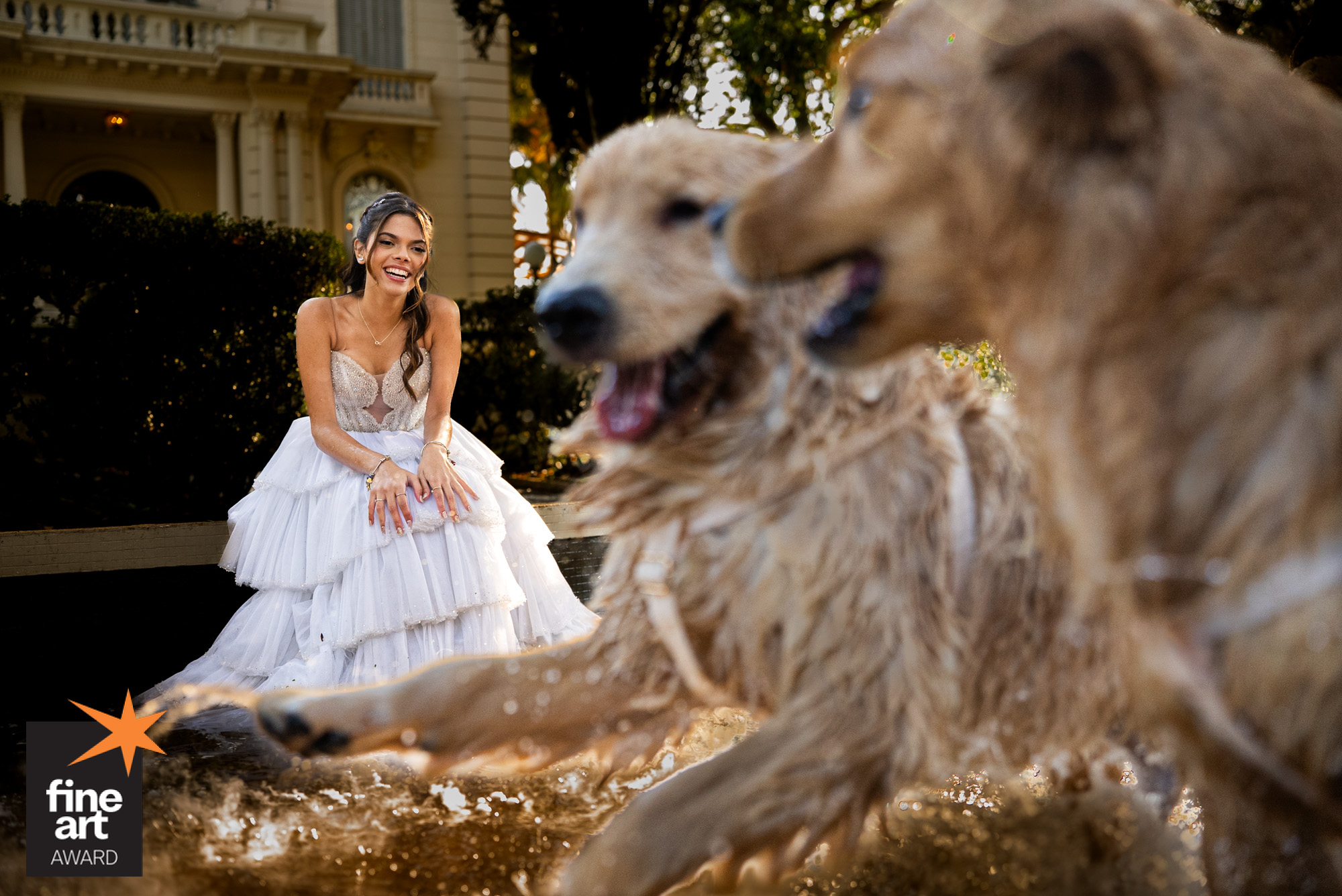 Foto por {{ $image->photographer_username }}