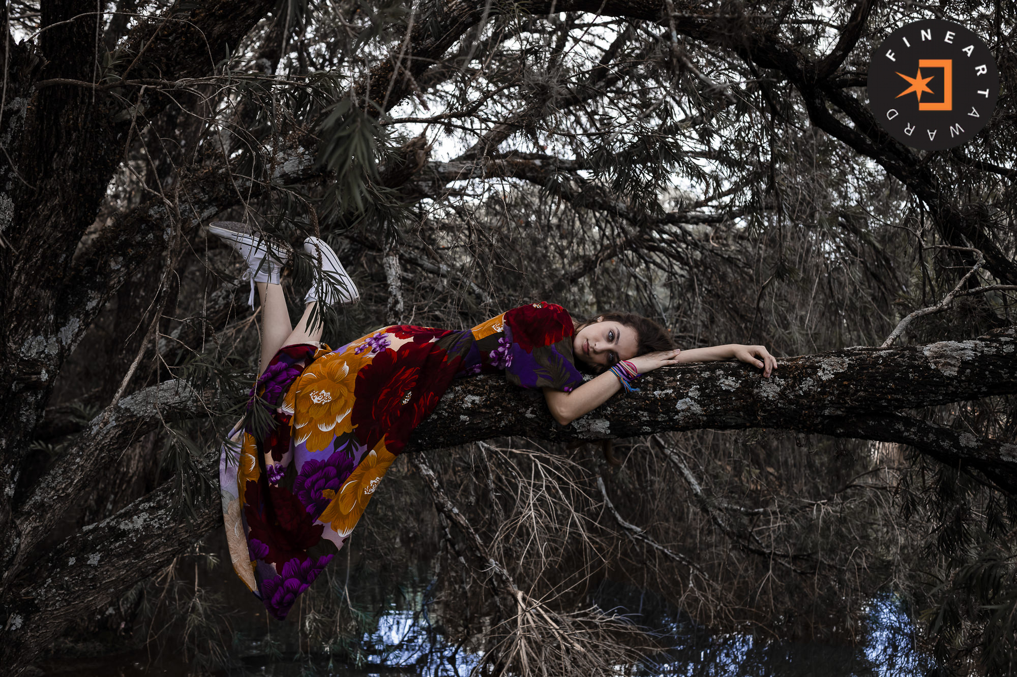 Foto por {{ $image->photographer_username }}