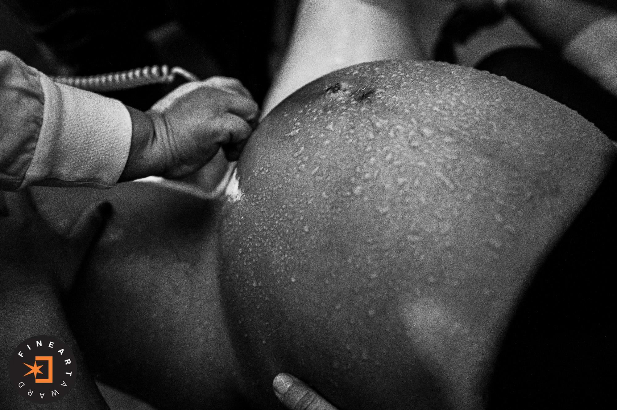 Foto por {{ $image->photographer_username }}