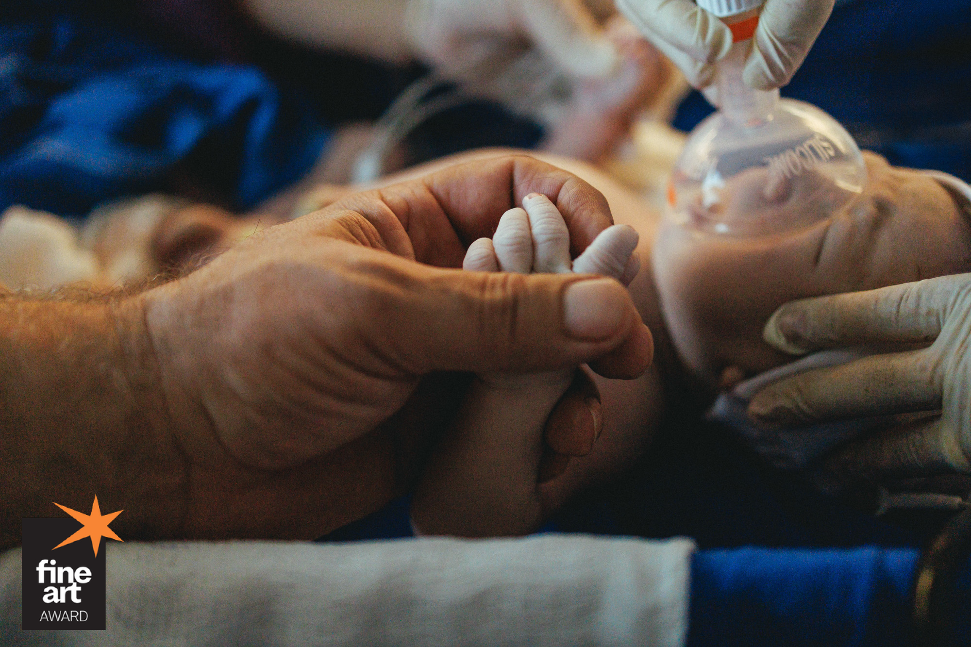 Foto por {{ $image->photographer_username }}