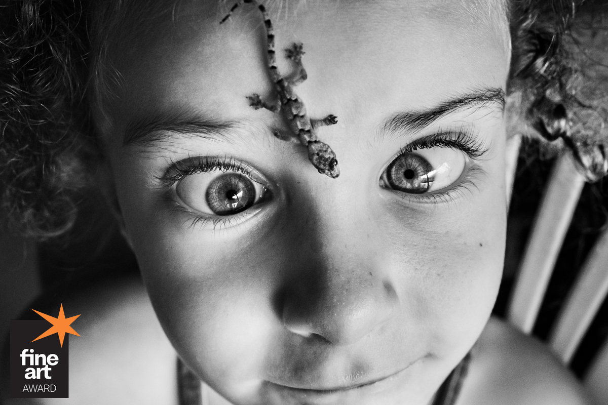 Foto por {{ $image->photographer_username }}