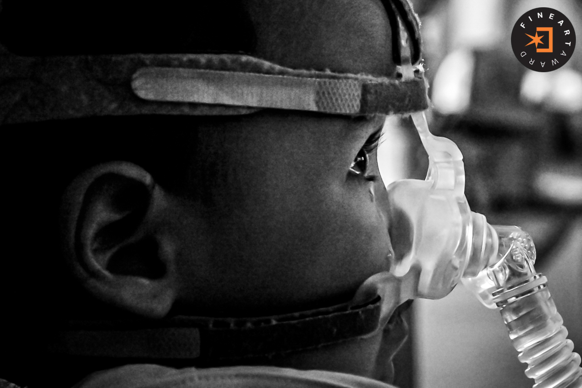 Foto por {{ $image->photographer_username }}