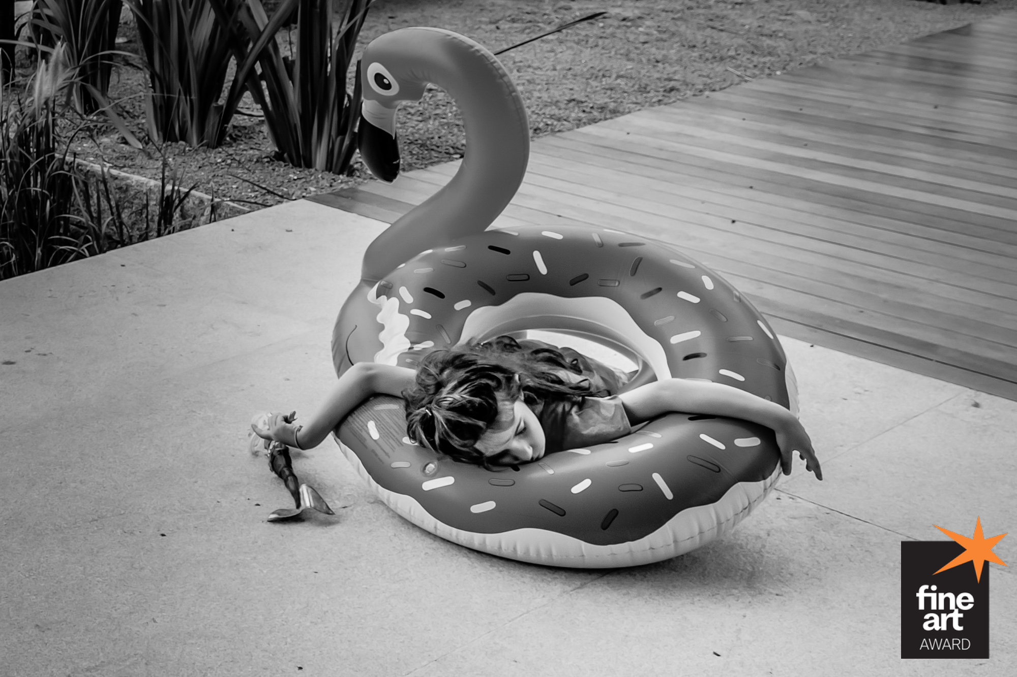 Foto por {{ $image->photographer_username }}