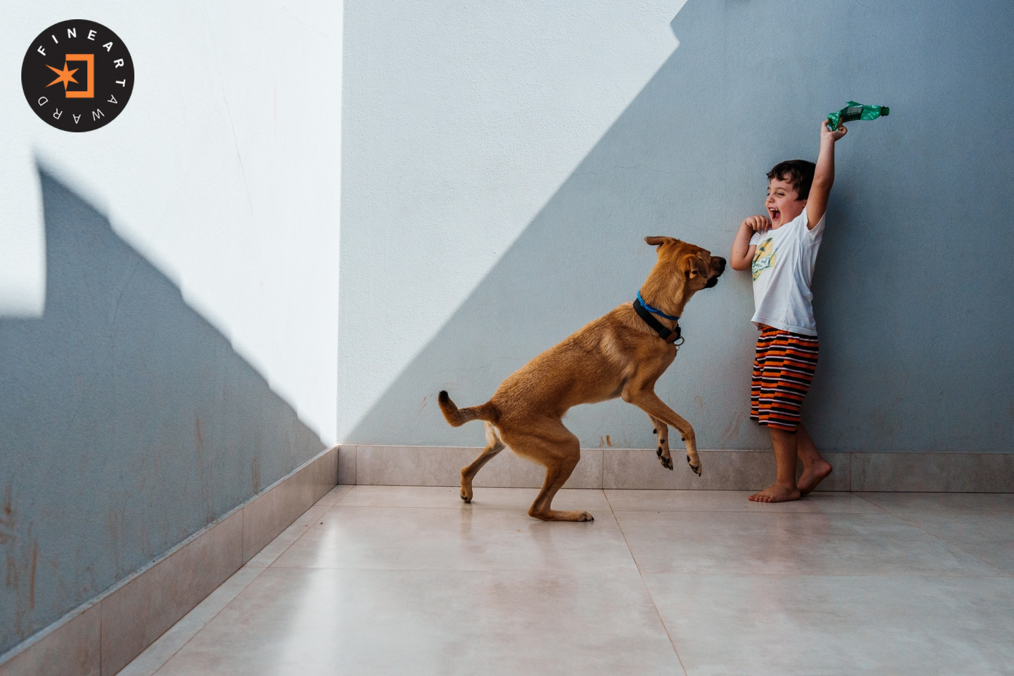 Foto por {{ $image->photographer_username }}