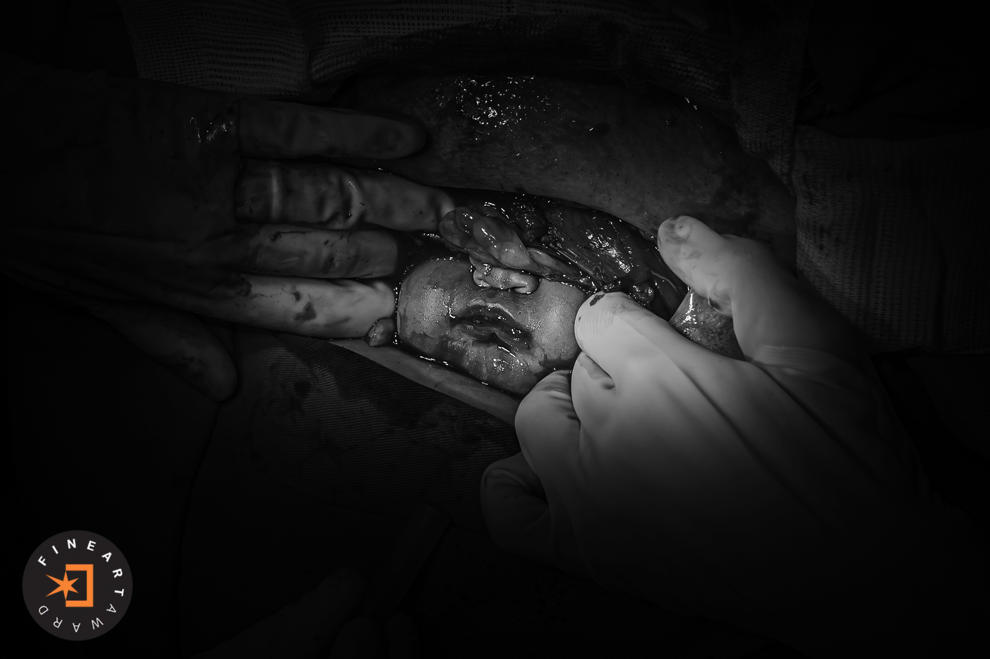 Foto por {{ $image->photographer_username }}