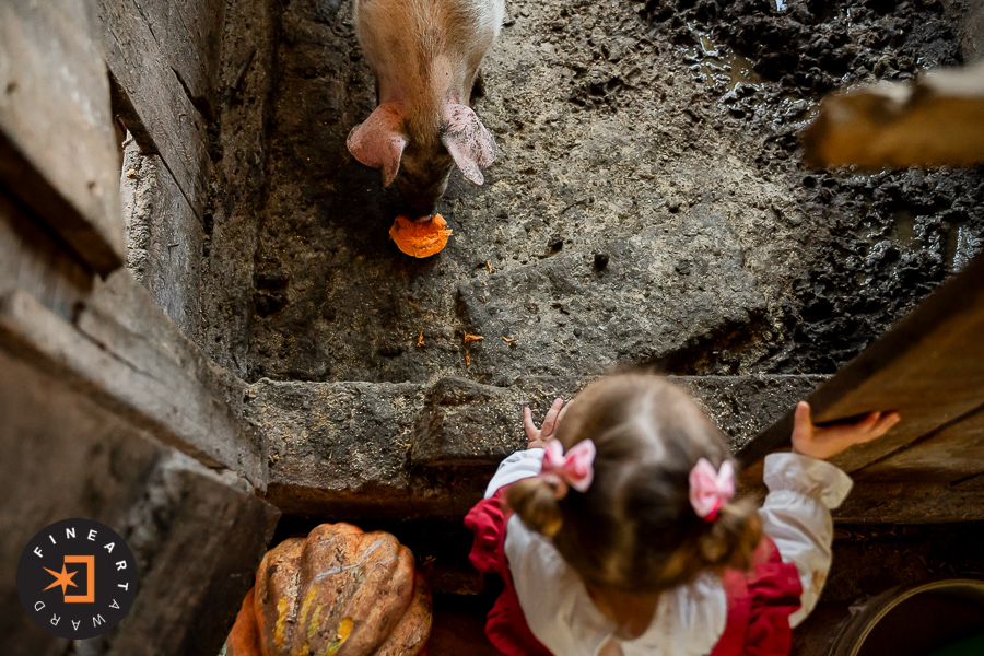 Foto por michelestaggemeier