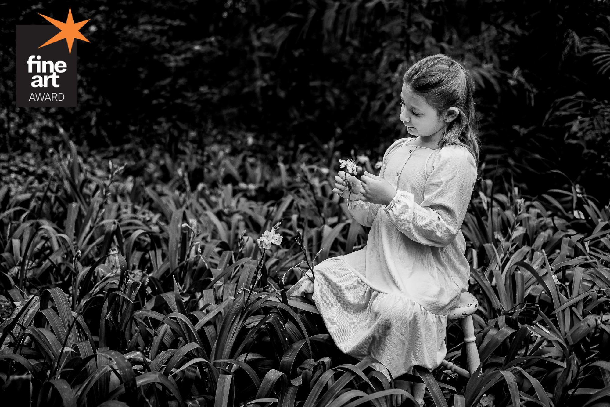 Foto por vanessacristina