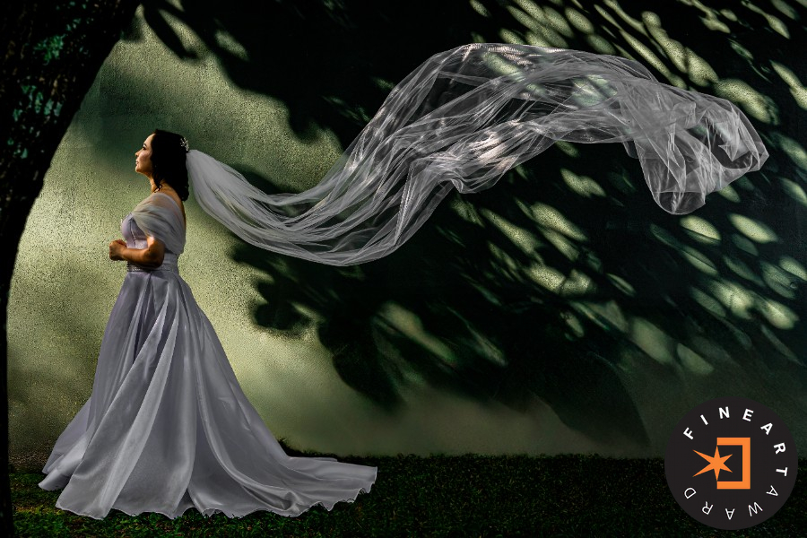 Foto por {{ $image->photographer_username }}