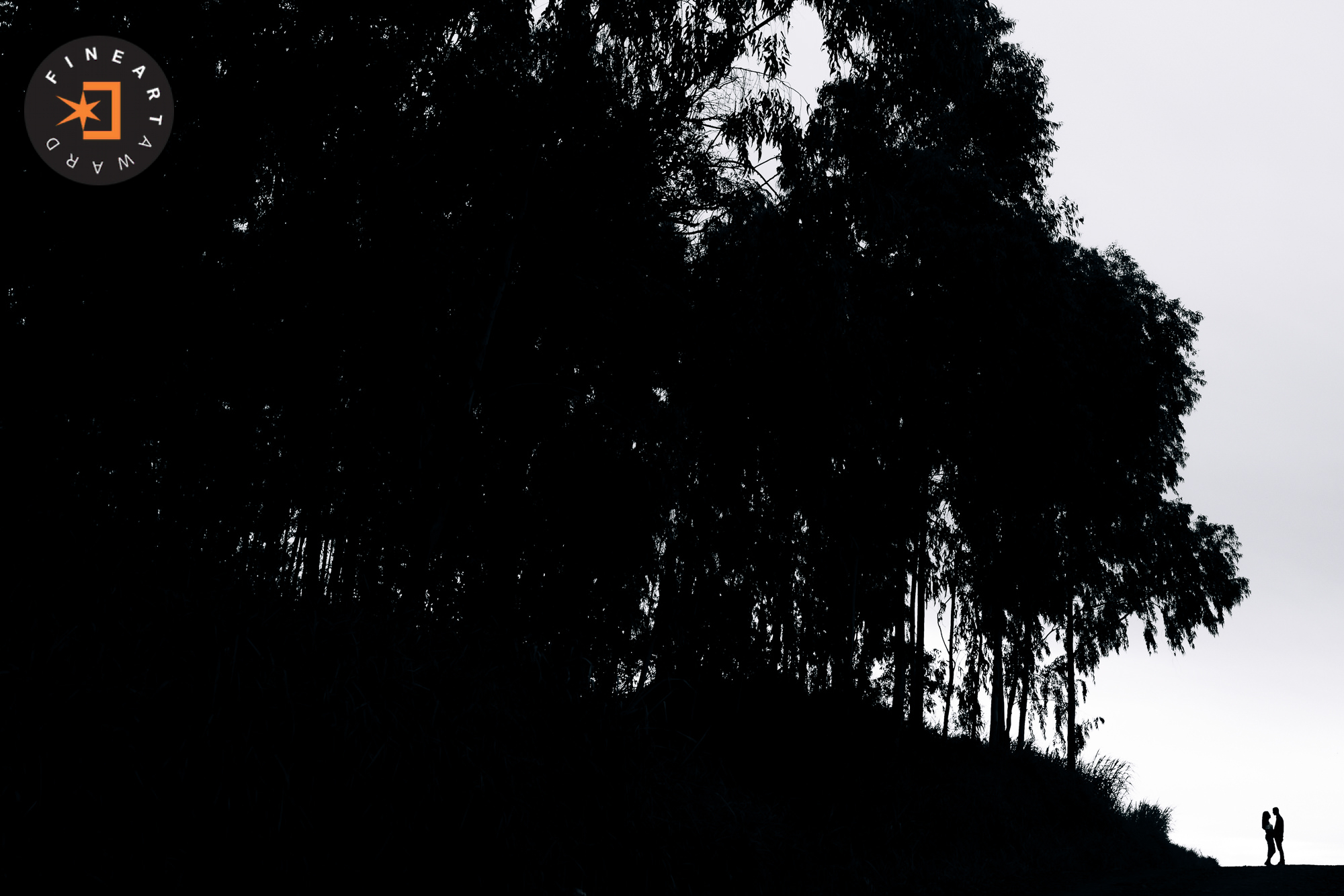 Foto por {{ $image->photographer_username }}