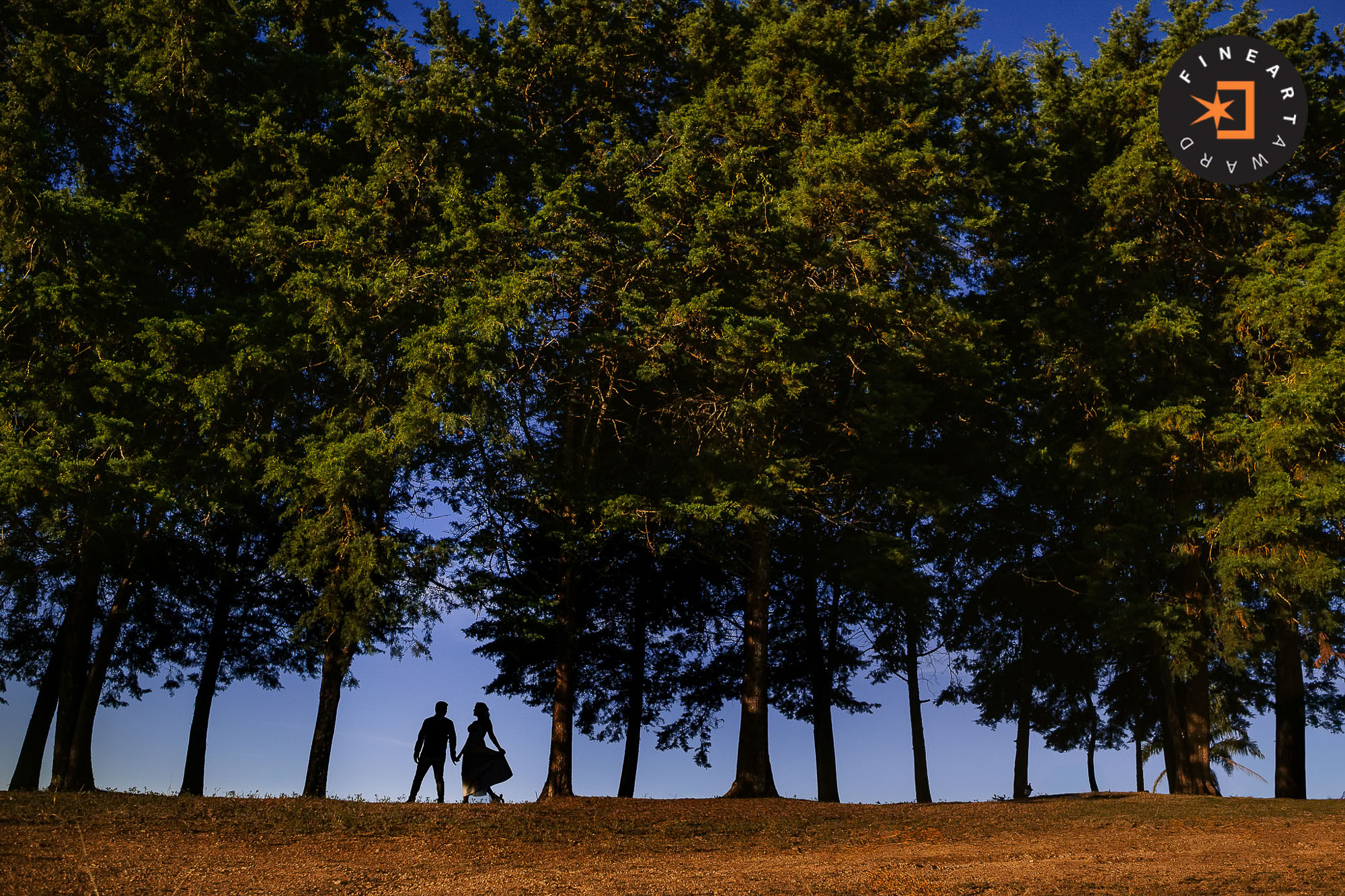 Foto por {{ $image->photographer_username }}