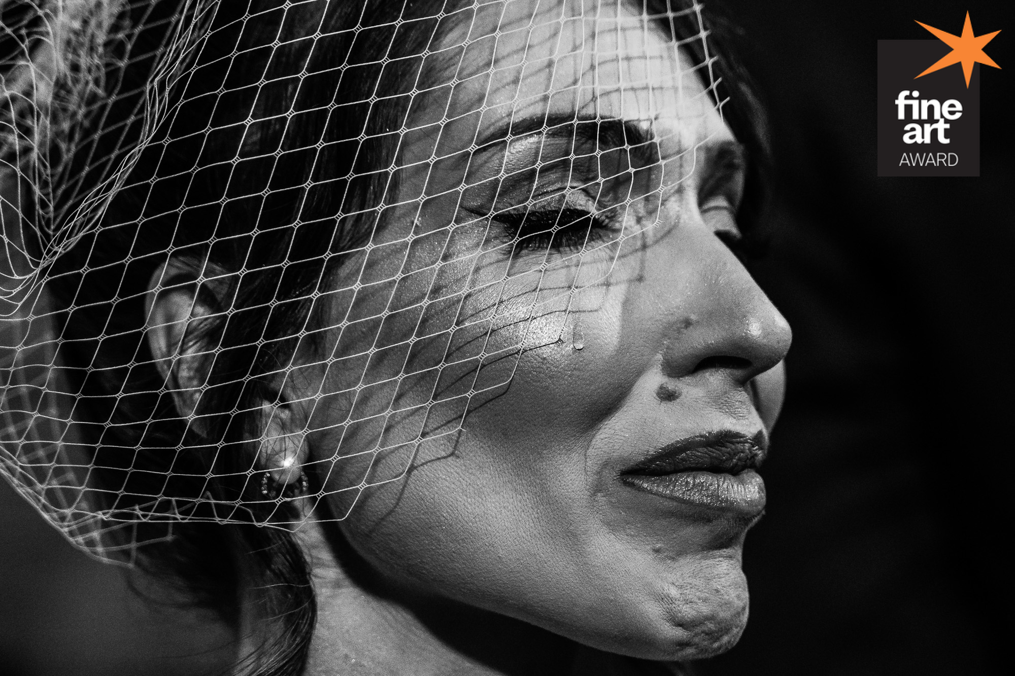 Foto por {{ $image->photographer_username }}