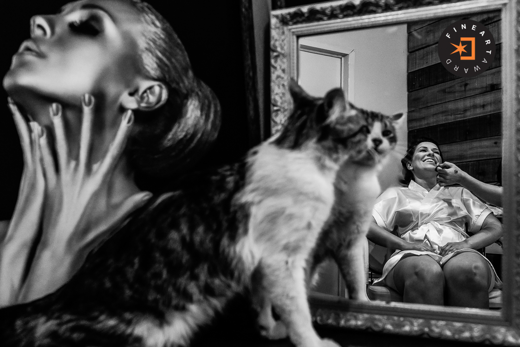 Foto por {{ $image->photographer_username }}