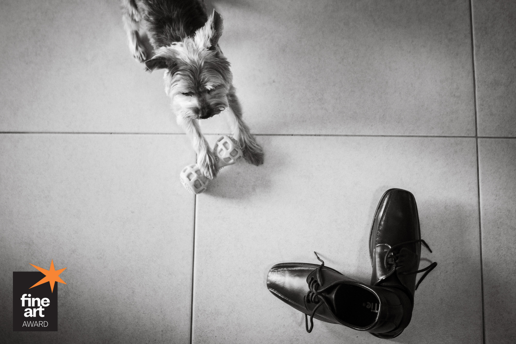 Foto por alyssonoliveira