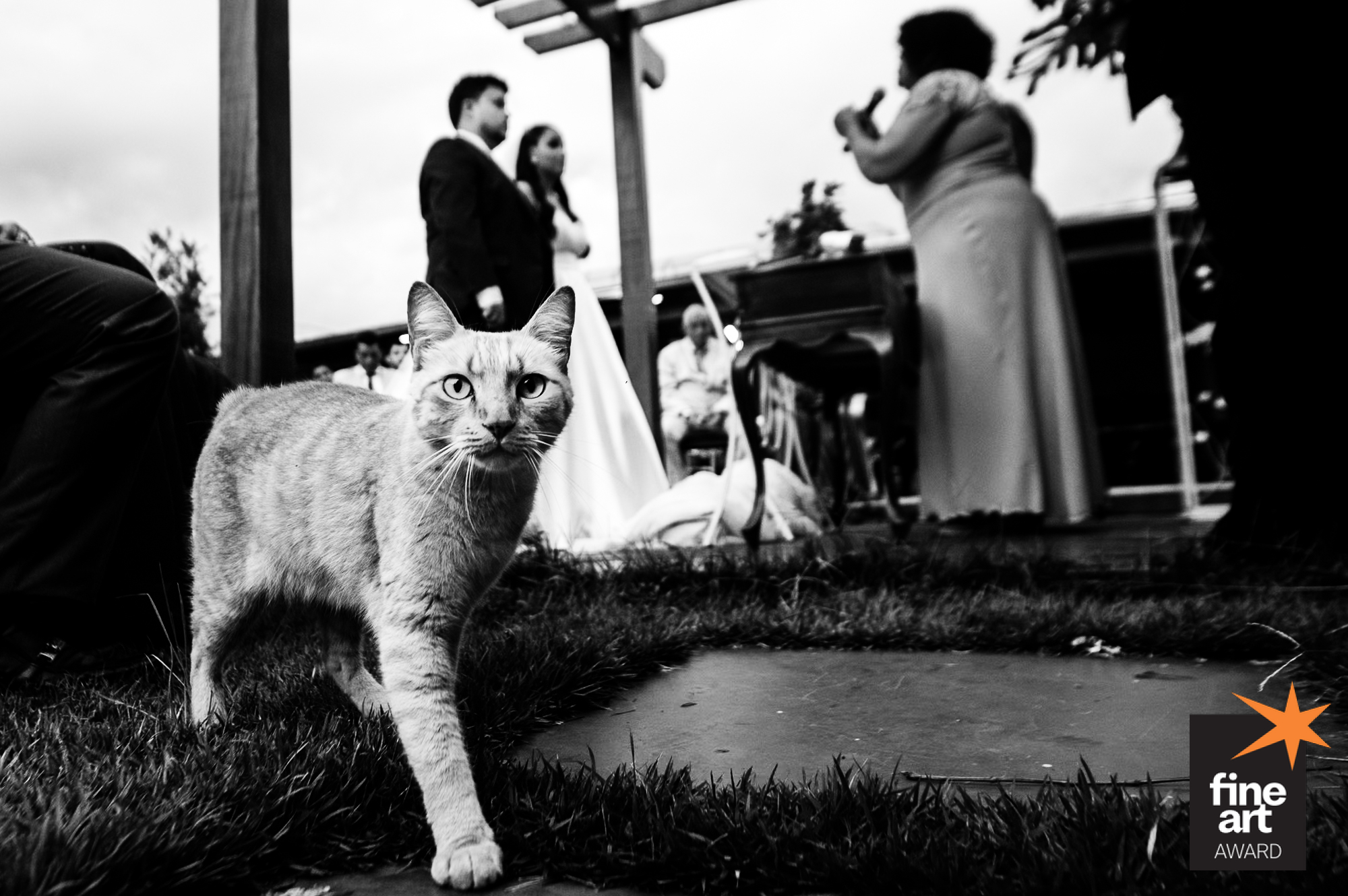 Foto por alyssonoliveira