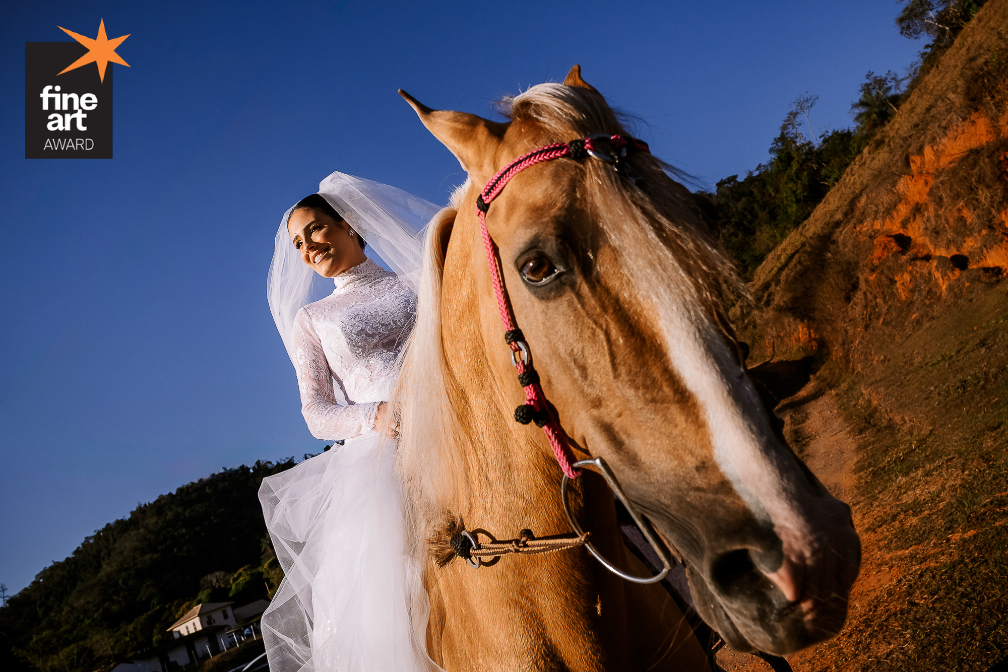 Foto por joaofreitas