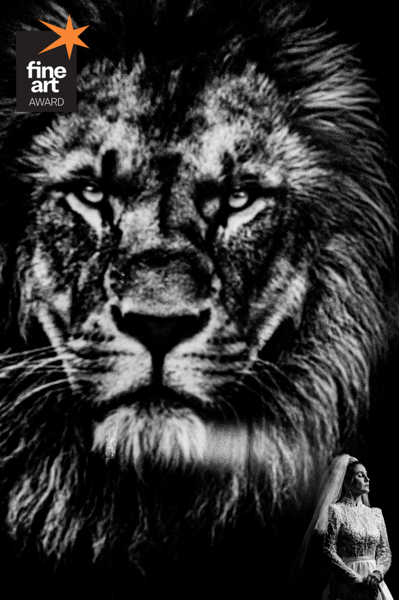 Foto por paulohenriquearaujo