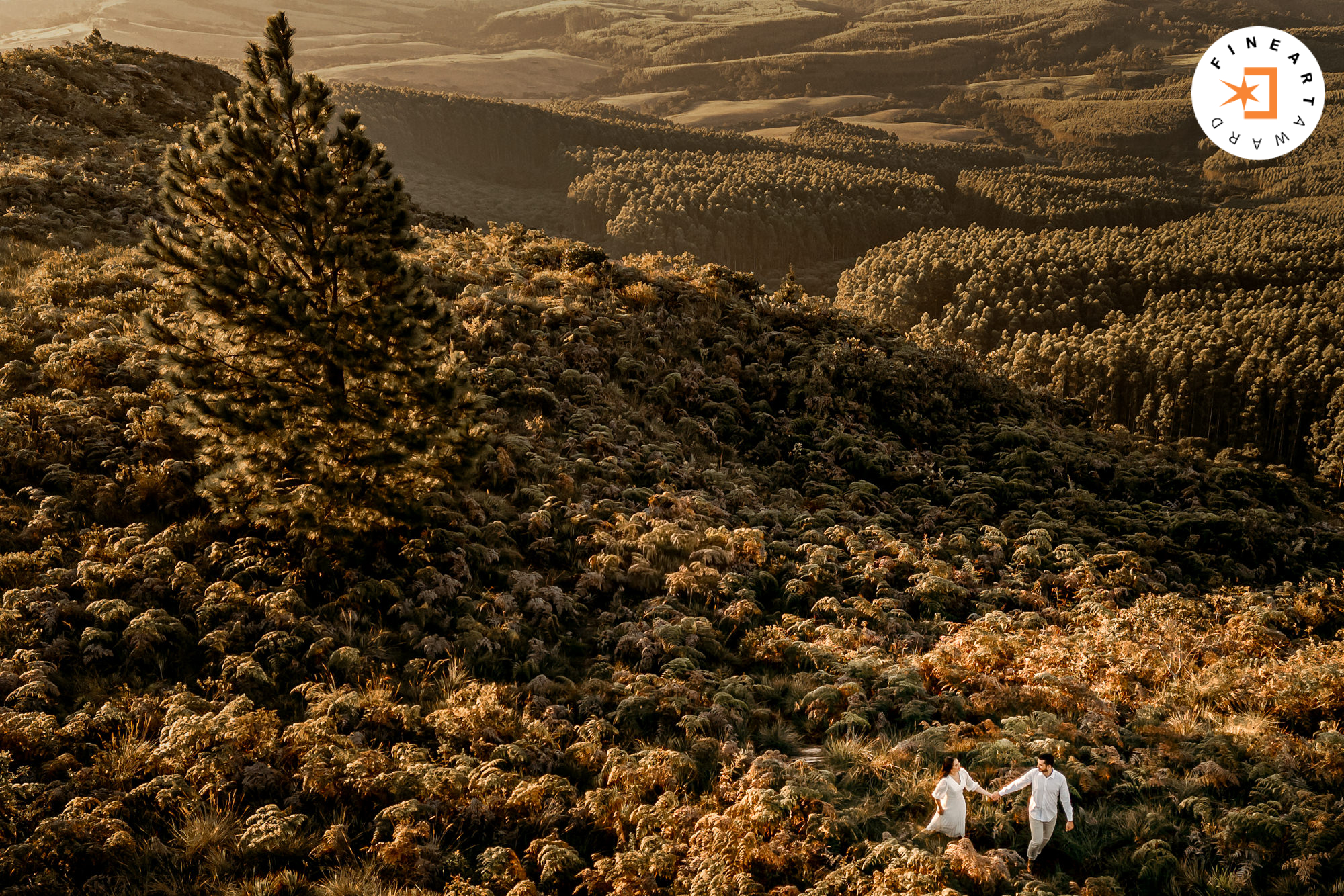 Foto por @paulohenriquecorreia