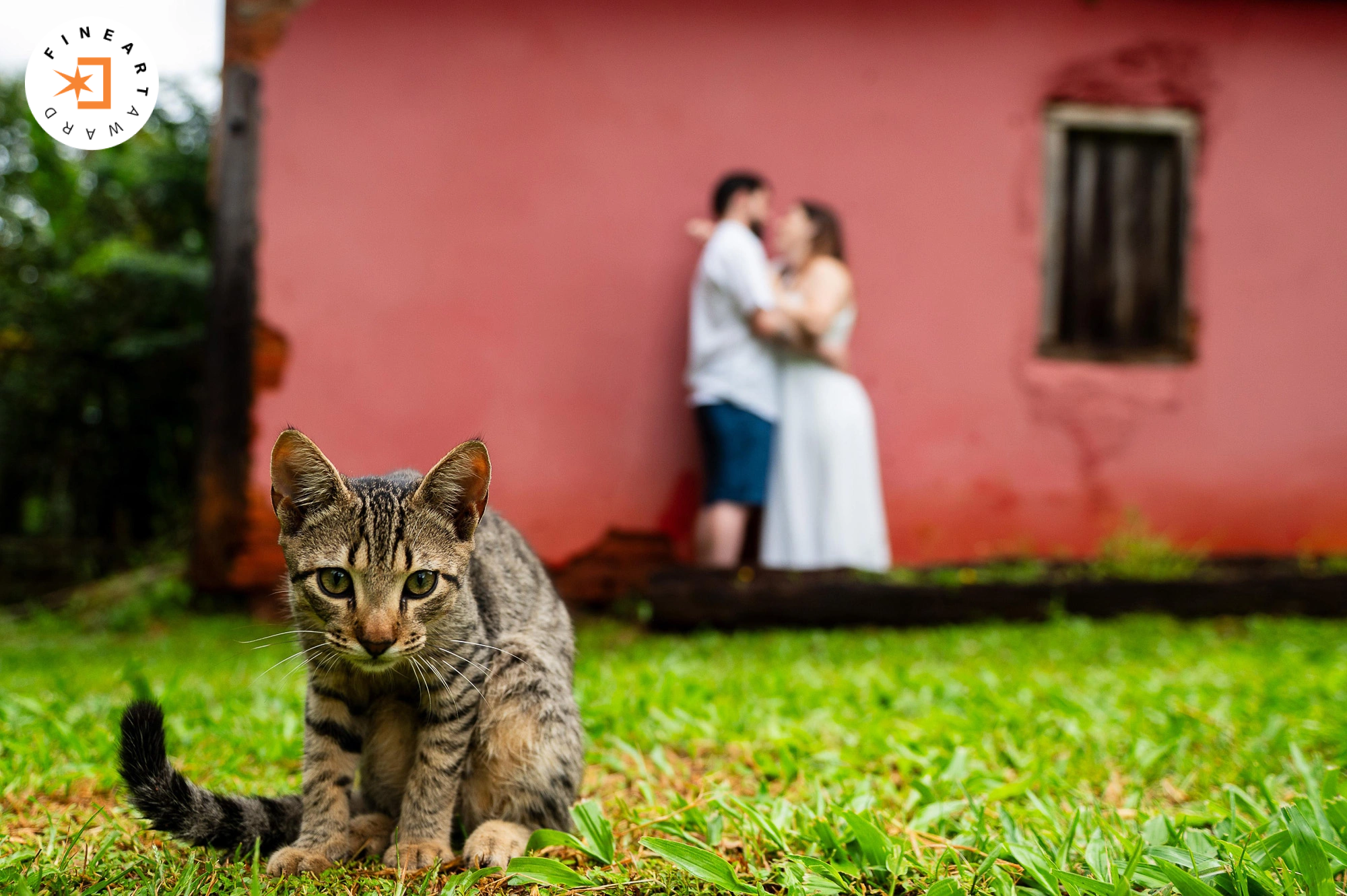 Foto por {{ $image->photographer_username }}