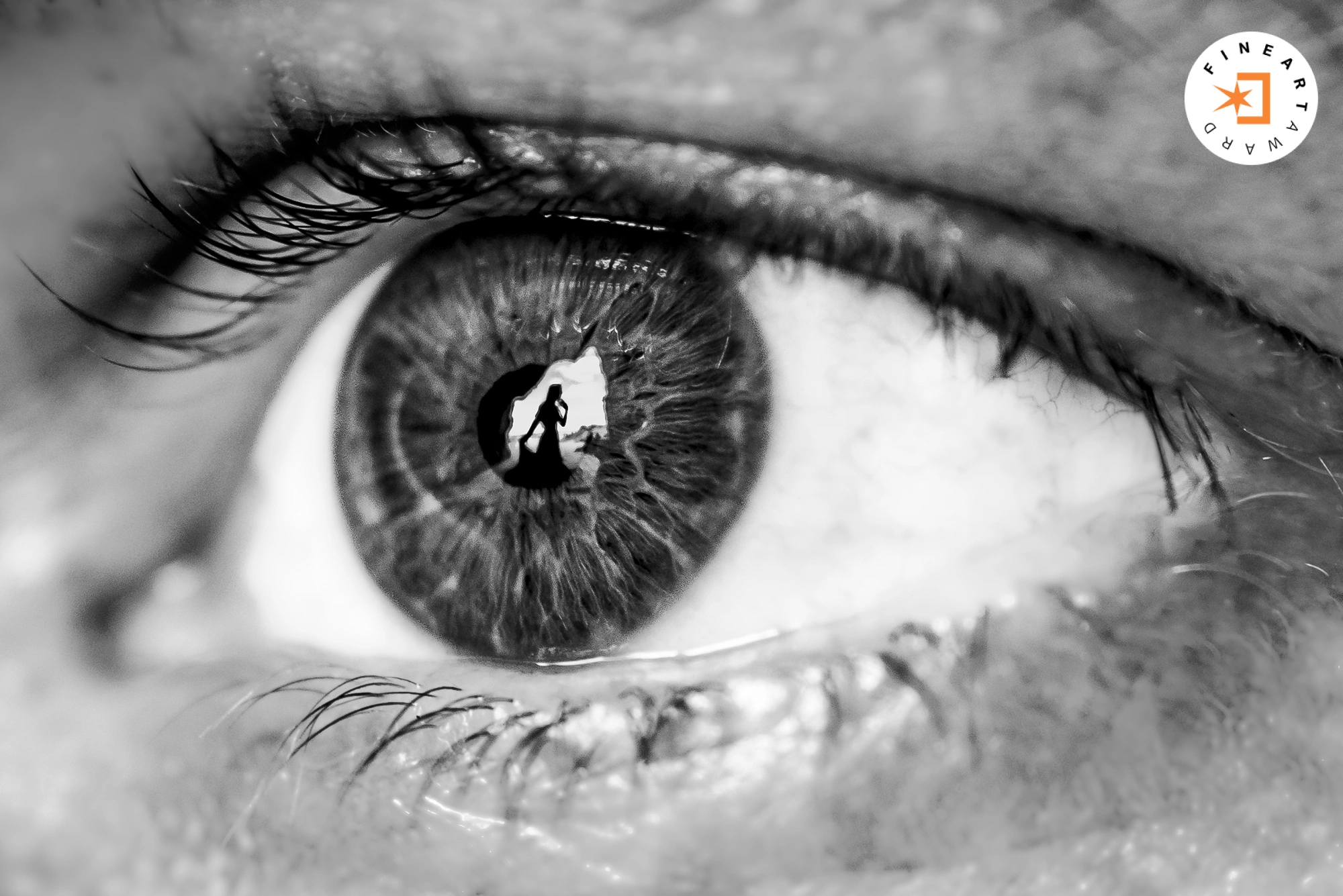 Foto por {{ $image->photographer_username }}