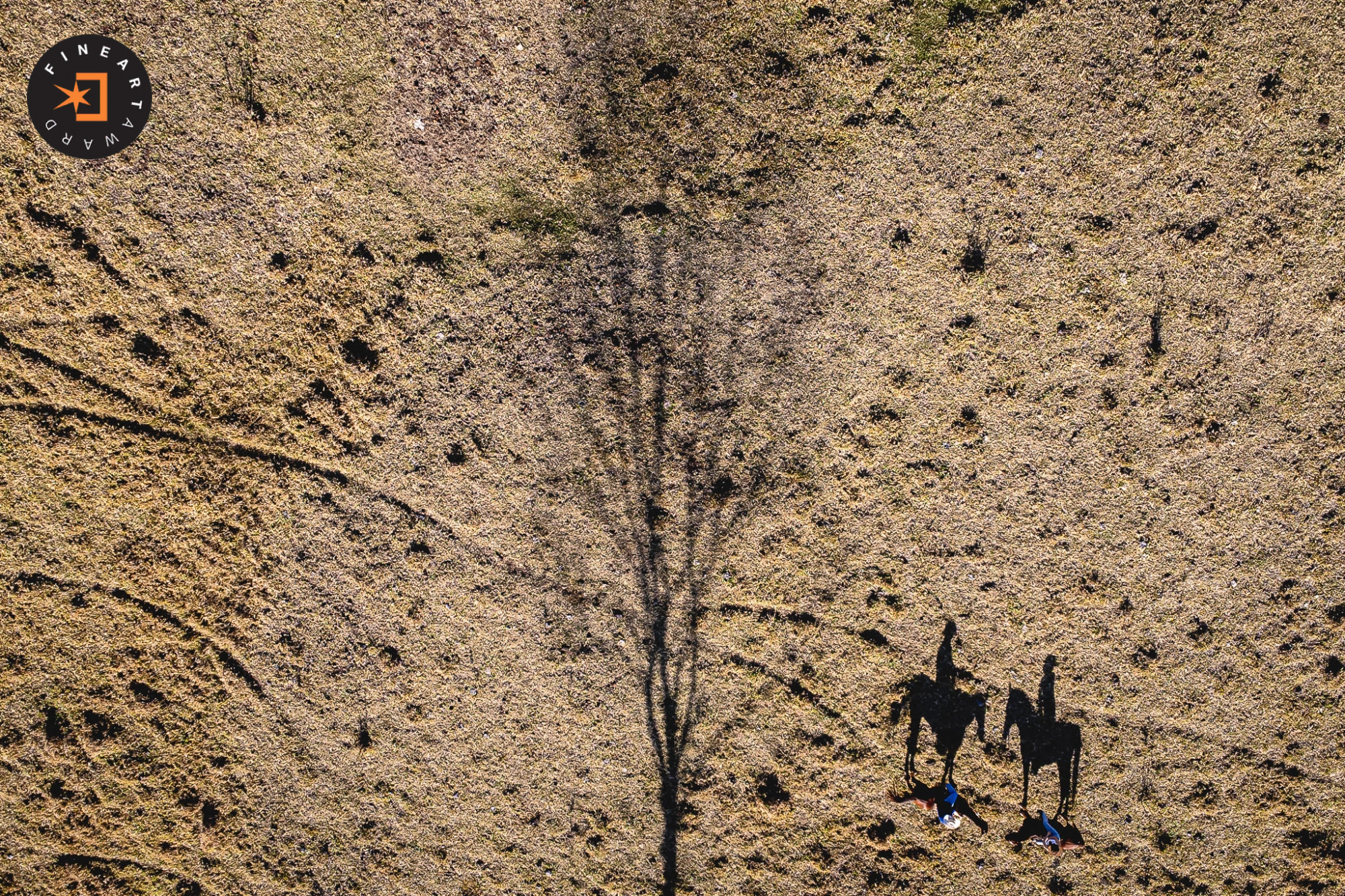 Foto por {{ $entry->photographer_username }}