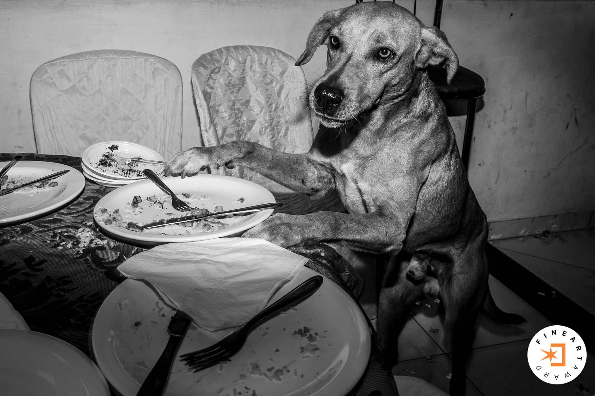 Foto por {{ $image->photographer_username }}