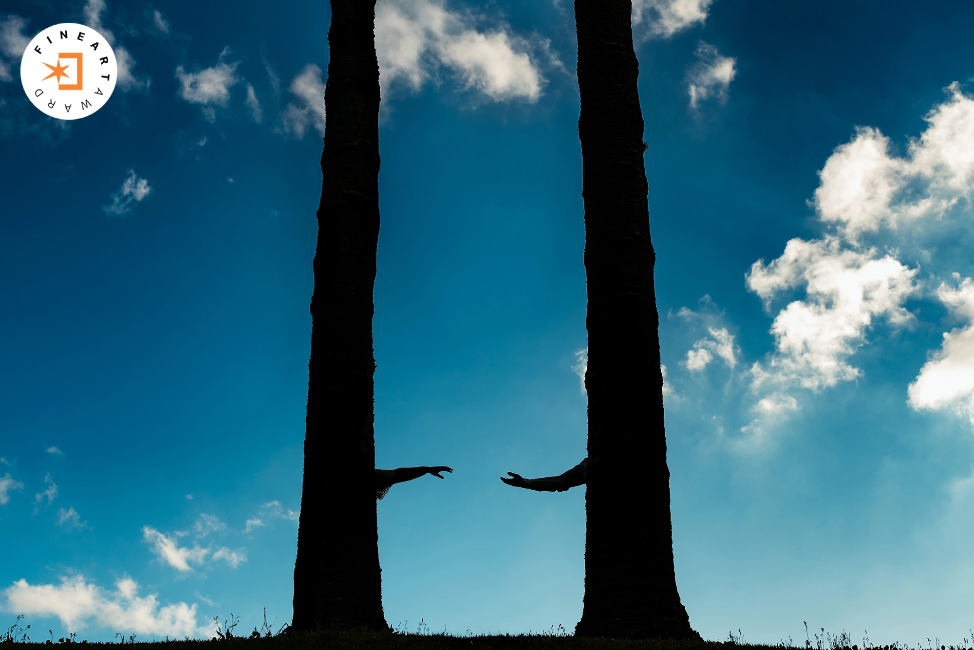 Foto por {{ $image->photographer_username }}